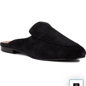 Seychelles black suede mules
